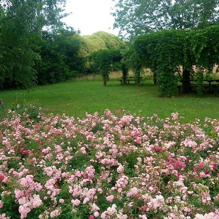 Cassola Agriturismo Il Magicorto מראה חיצוני תמונה