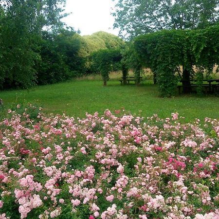 הוילה Cassola Agriturismo Il Magicorto מראה חיצוני תמונה