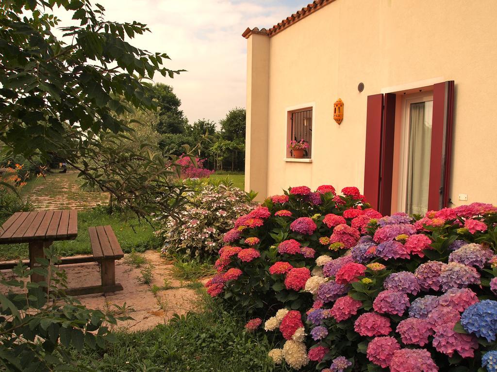 Cassola Agriturismo Il Magicorto חדר תמונה
