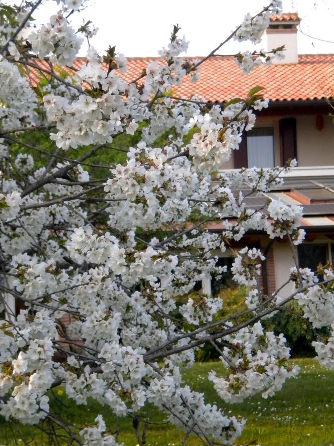 הוילה Cassola Agriturismo Il Magicorto מראה חיצוני תמונה