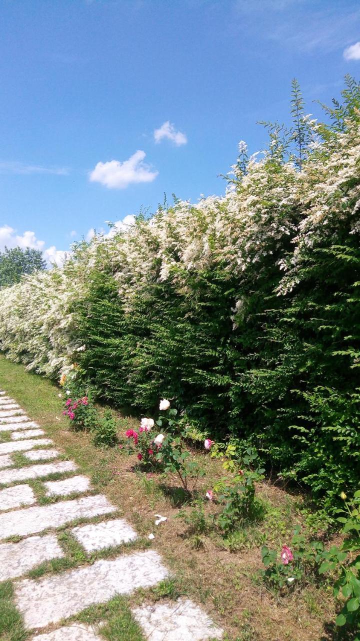 Cassola Agriturismo Il Magicorto מראה חיצוני תמונה