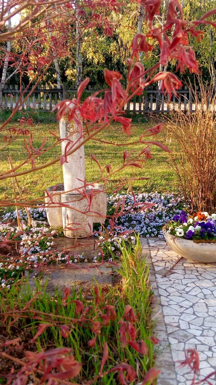 Cassola Agriturismo Il Magicorto מראה חיצוני תמונה